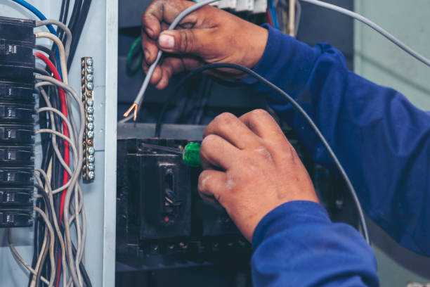 Best Electric Panel Repair  in Newark, TX